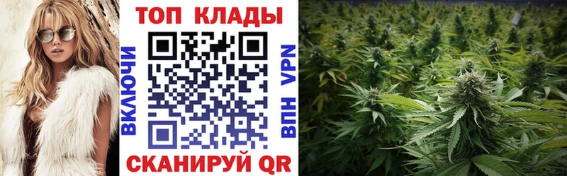  Кокаин Дятьково