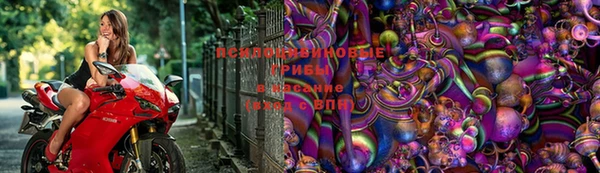 первитин Дмитров