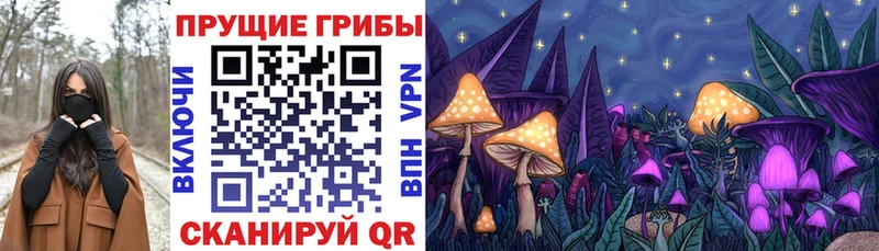 Псилоцибиновые грибы Cubensis Дятьково